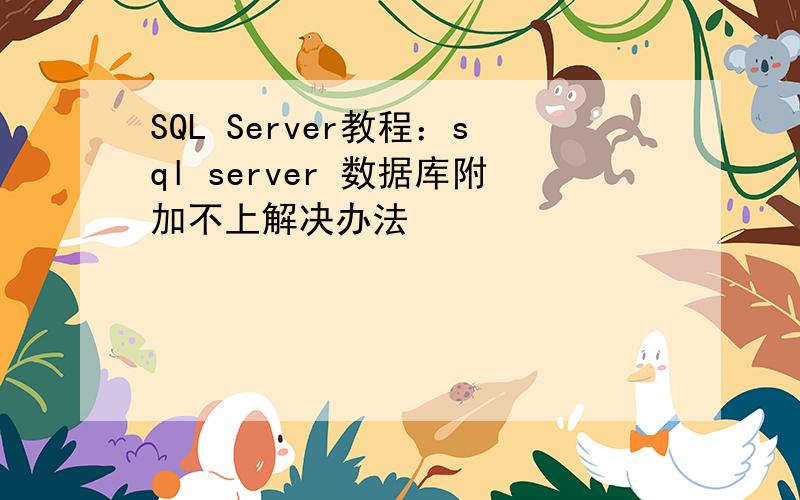 SQL Server教程：sql server 数据库附加不上解决办法