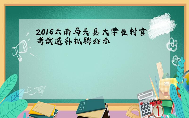 2016云南马关县大学生村官考试递补拟聘公示