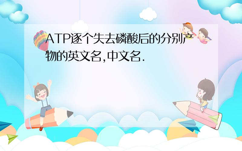 ATP逐个失去磷酸后的分别产物的英文名,中文名.