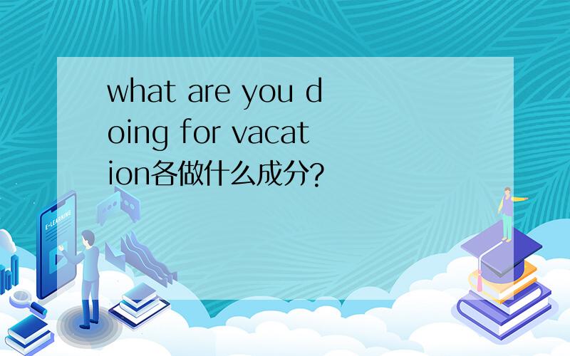 what are you doing for vacation各做什么成分?