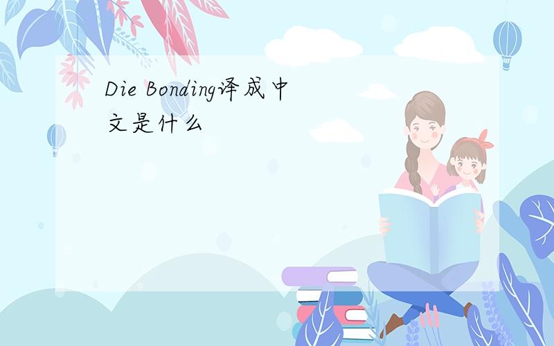Die Bonding译成中文是什么