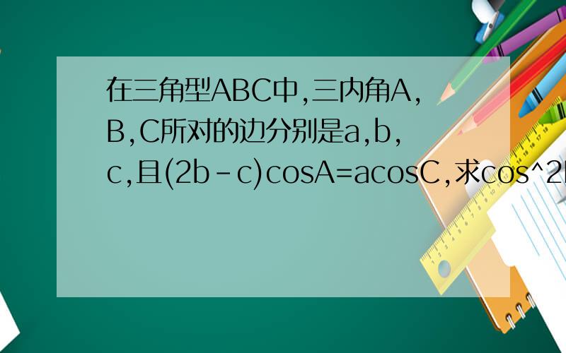 在三角型ABC中,三内角A,B,C所对的边分别是a,b,c,且(2b-c)cosA=acosC,求cos^2B+cos^2B的取值范围