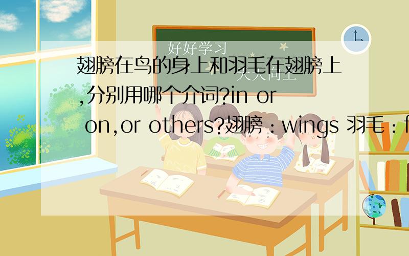 翅膀在鸟的身上和羽毛在翅膀上,分别用哪个介词?in or on,or others?翅膀：wings 羽毛：feacture.请尽快回答,