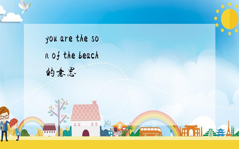 you are the son of the beach的意思