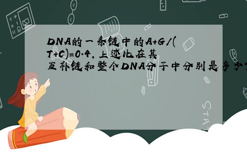DNA的一条链中的A+G/(T+C)=0.4,上述比在其互补链和整个DNA分子中分别是多少?