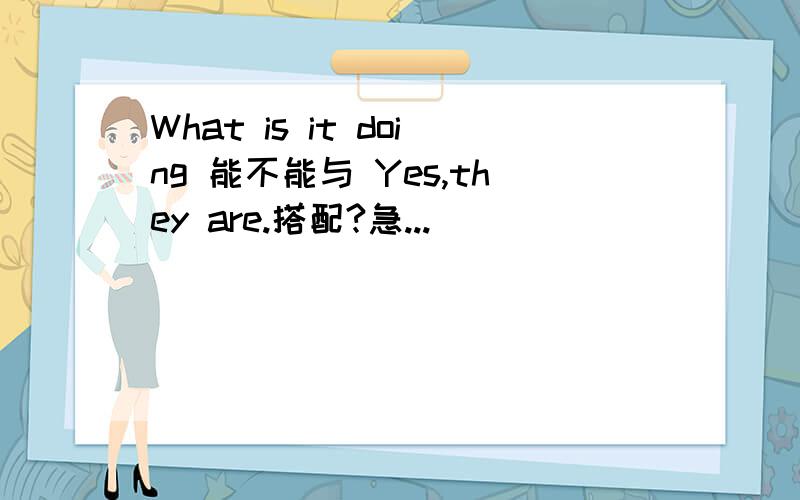 What is it doing 能不能与 Yes,they are.搭配?急...