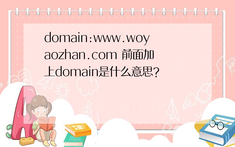 domain:www.woyaozhan.com 前面加上domain是什么意思?