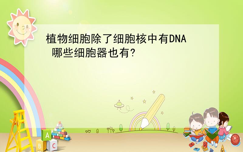 植物细胞除了细胞核中有DNA 哪些细胞器也有?