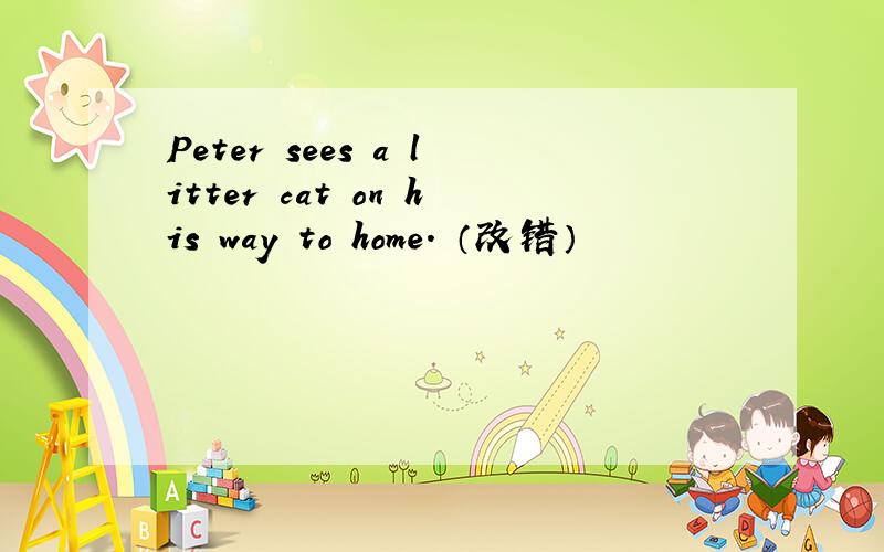 Peter sees a litter cat on his way to home. （改错）