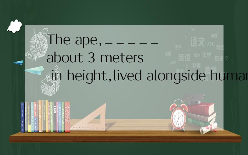 The ape,_____ about 3 meters in height,lived alongside humans for more than a million years.A.measured;B.measuring;C.is measured;D.measures为什么不能选a要选b,