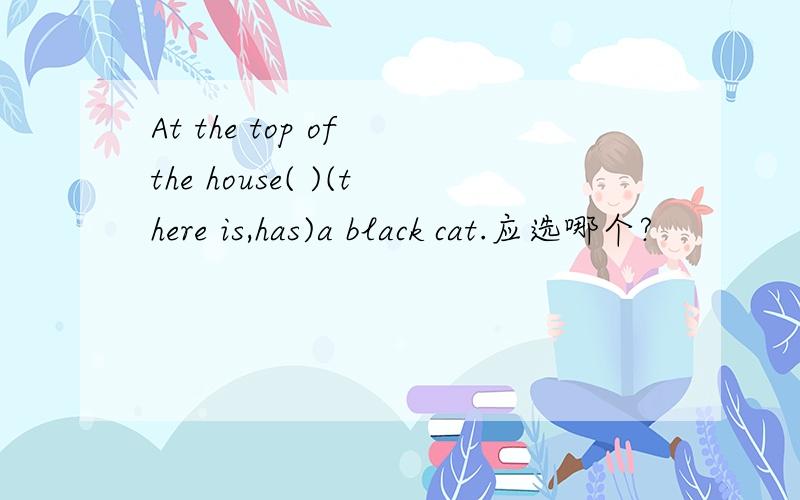 At the top of the house( )(there is,has)a black cat.应选哪个?