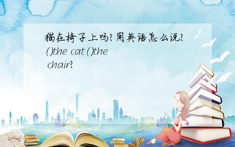 猫在椅子上吗?用英语怎么说?（）the cat（）the chair?
