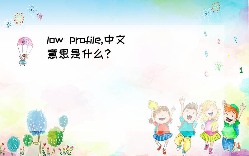 low profile,中文意思是什么?