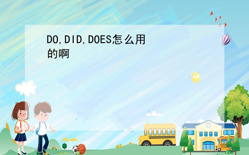 DO,DID,DOES怎么用的啊