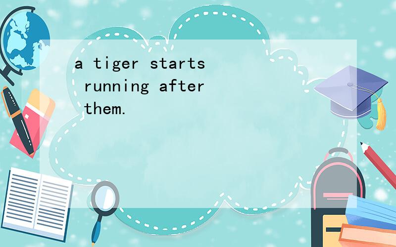 a tiger starts running after them.
