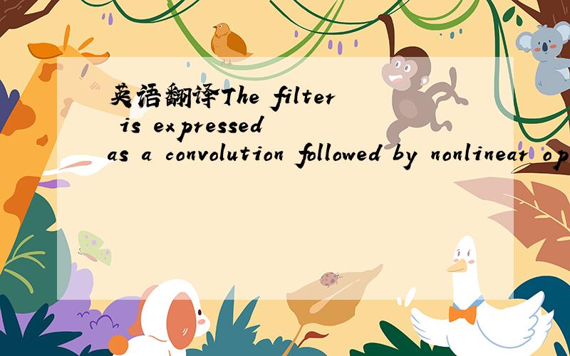 英语翻译The filter is expressed as a convolution followed by nonlinear operations:--------------------------另外：convolution -卷积