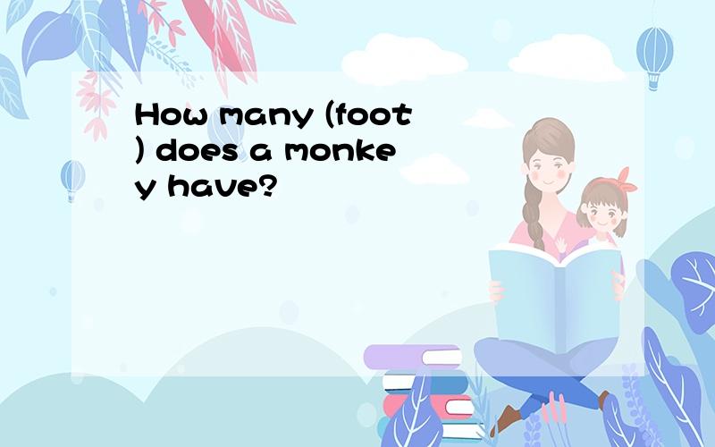How many (foot) does a monkey have?