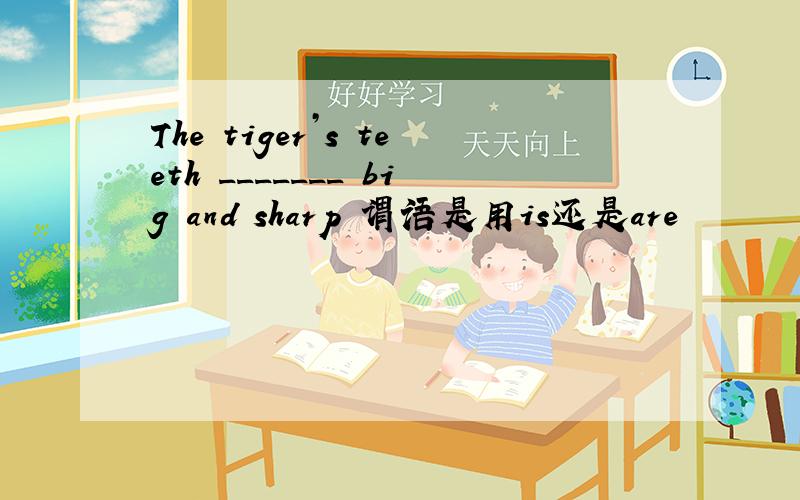 The tiger’s teeth _______ big and sharp 谓语是用is还是are