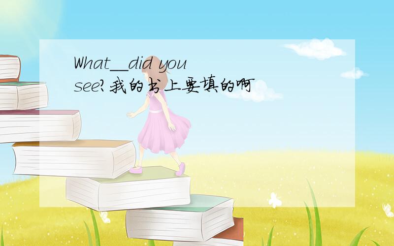 What__did you see?我的书上要填的啊