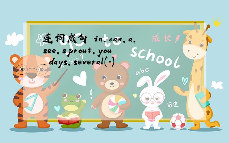 连词成句 in,can,a,see,sprout,you,days,several(.)