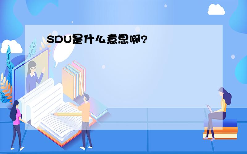SDU是什么意思啊?
