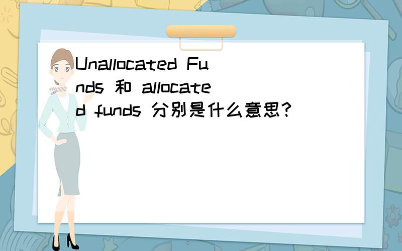 Unallocated Funds 和 allocated funds 分别是什么意思?