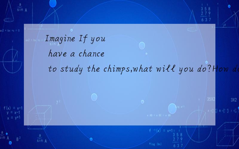 Imagine If you have a chance to study the chimps,what will you do?How do you feel?怎样回答,用英文