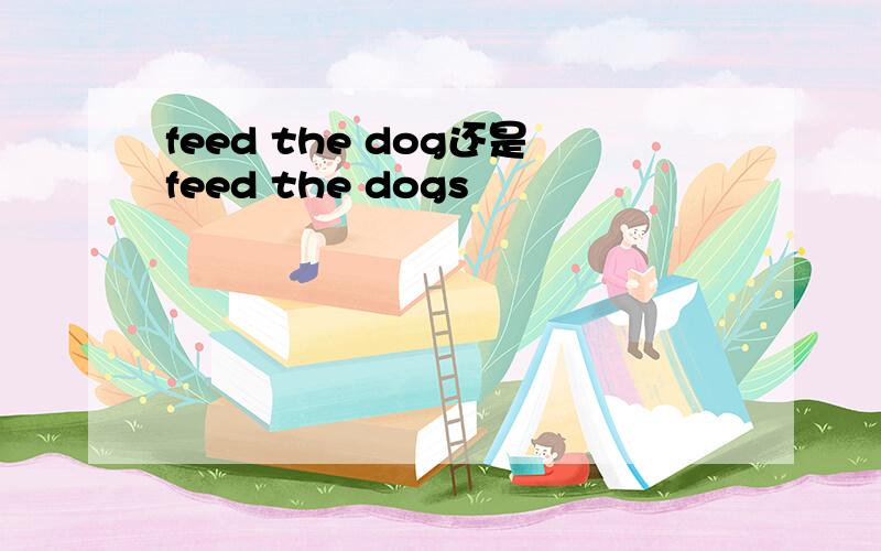 feed the dog还是feed the dogs