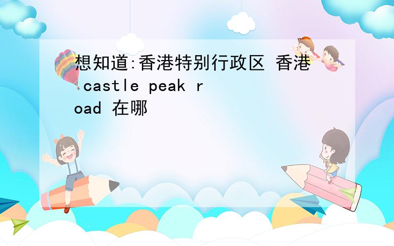 想知道:香港特别行政区 香港 castle peak road 在哪