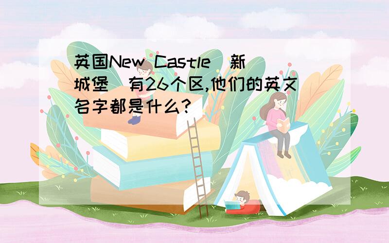 英国New Castle（新城堡）有26个区,他们的英文名字都是什么?