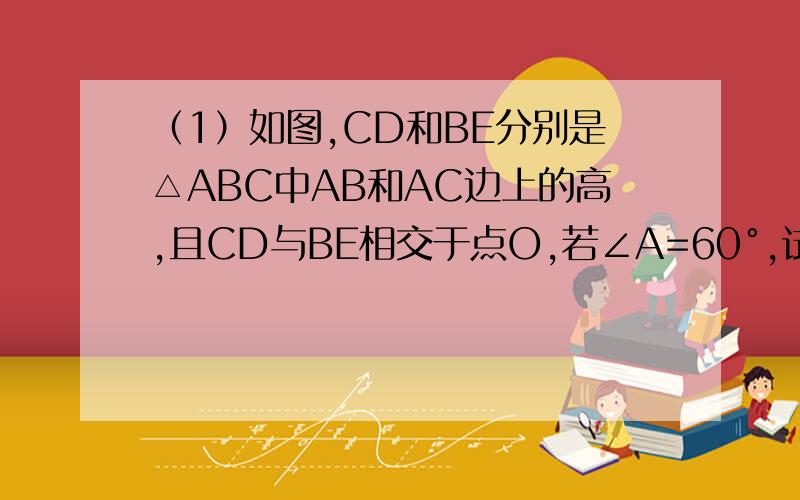 （1）如图,CD和BE分别是△ABC中AB和AC边上的高,且CD与BE相交于点O,若∠A=60°,试求∠BOC的度数.