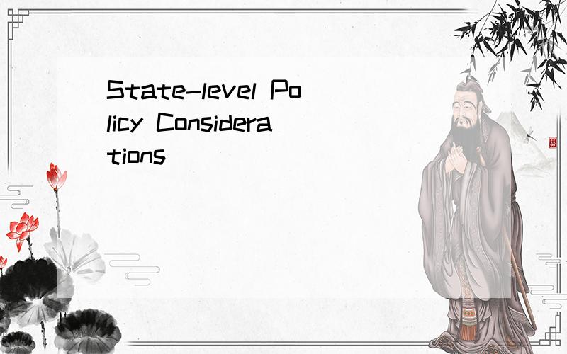 State-level Policy Considerations