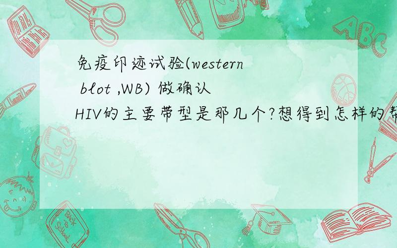 免疫印迹试验(western blot ,WB) 做确认HIV的主要带型是那几个?想得到怎样的帮助：如题