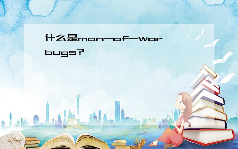 什么是man-of-war bugs?