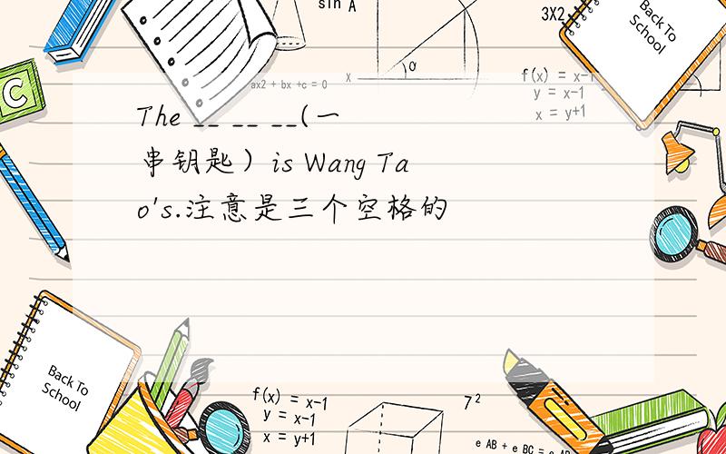 The __ __ __(一串钥匙）is Wang Tao's.注意是三个空格的