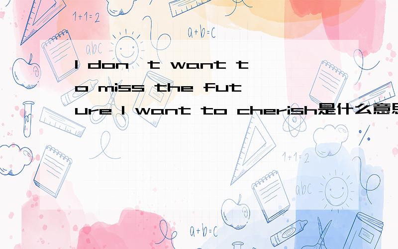 I don't want to miss the future I want to cherish是什么意思?