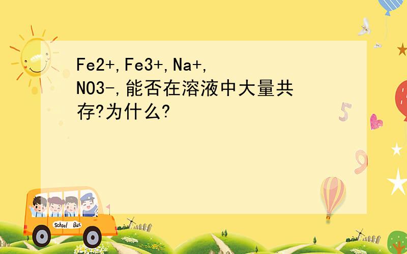 Fe2+,Fe3+,Na+,NO3-,能否在溶液中大量共存?为什么?