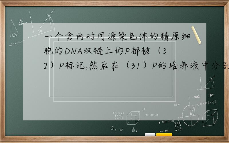 一个含两对同源染色体的精原细胞的DNA双链上的P都被（32）P标记,然后在（31）P的培养液中分别有丝分裂2次和减数分裂1次（不考虑交叉互换）,所能形成的子细胞中含（32）P染色体的子细胞