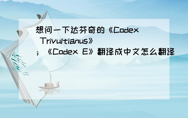 想问一下达芬奇的《Codex Trivultianus》；《Codex E》翻译成中文怎么翻译