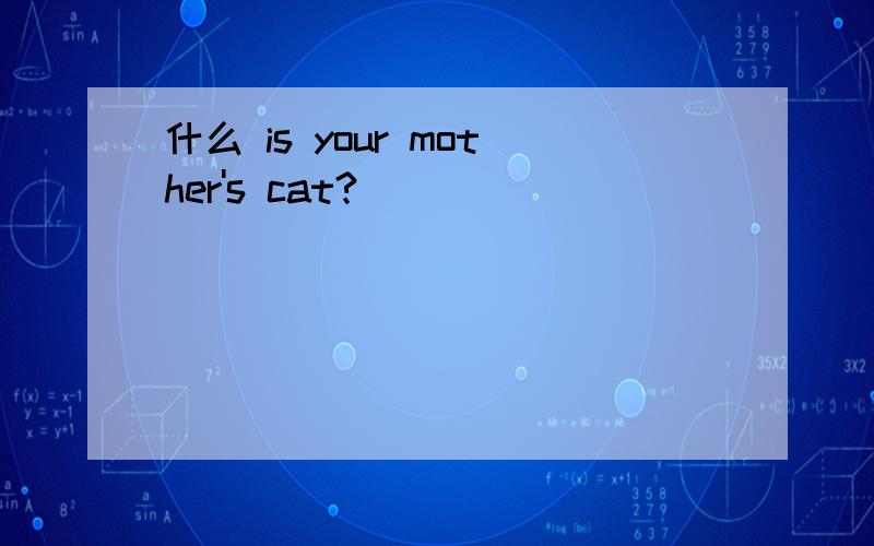 什么 is your mother's cat?