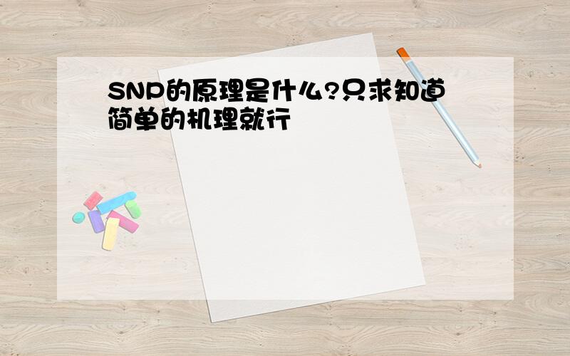 SNP的原理是什么?只求知道简单的机理就行