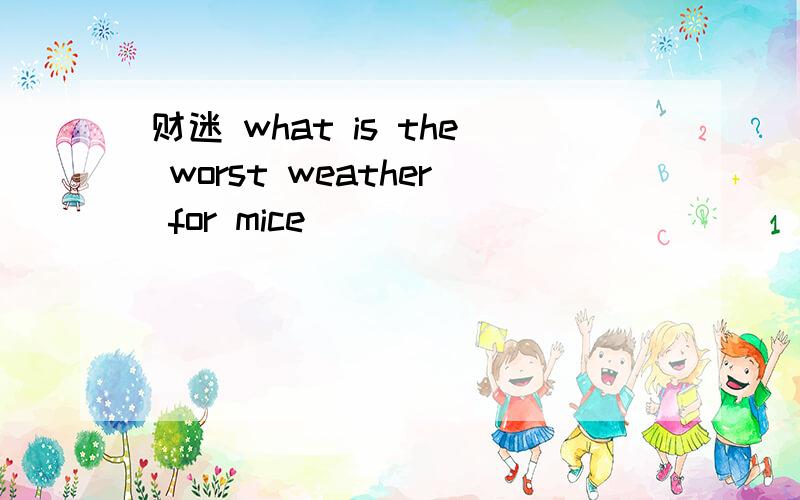 财迷 what is the worst weather for mice