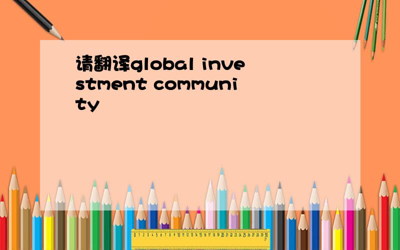 请翻译global investment community
