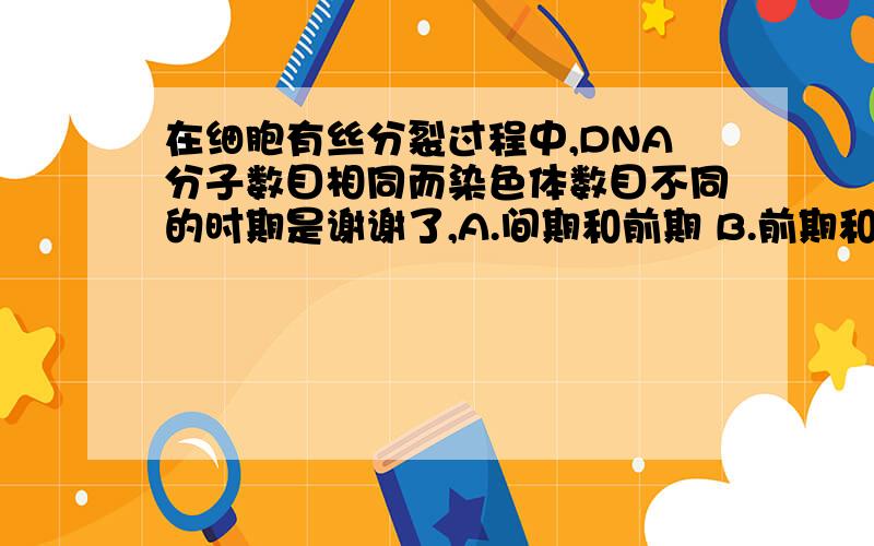 在细胞有丝分裂过程中,DNA分子数目相同而染色体数目不同的时期是谢谢了,A.间期和前期 B.前期和中期 C.前期和后期 D.间期和中期