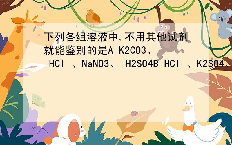 下列各组溶液中,不用其他试剂就能鉴别的是A K2CO3、 HCl 、NaNO3、 H2SO4B HCl 、K2SO4、 NaOH 、 Na2CO3C Na2CO3、 BaCl2 、KNO3 、H2SO4D NaOH、NaCl、FeCl3、KNO3