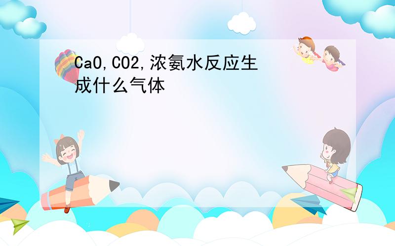 CaO,CO2,浓氨水反应生成什么气体