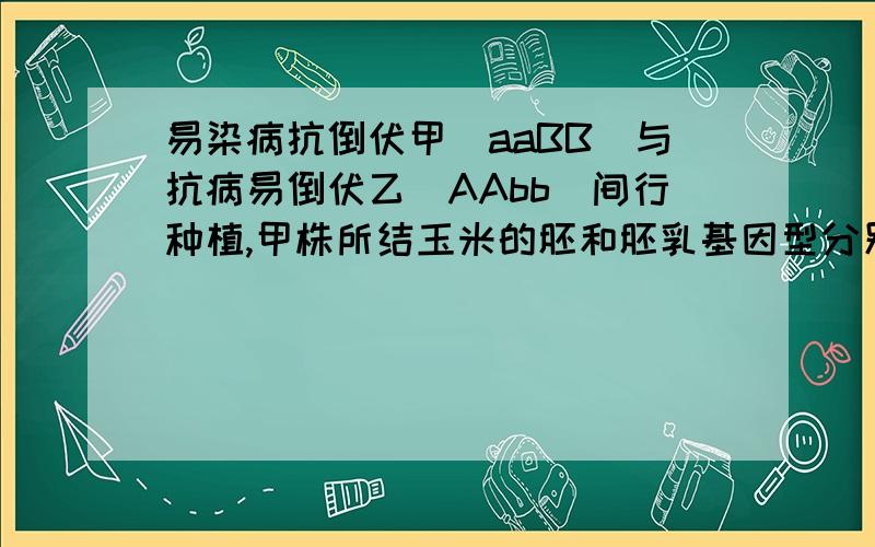 易染病抗倒伏甲(aaBB)与抗病易倒伏乙(AAbb)间行种植,甲株所结玉米的胚和胚乳基因型分别是:AaBb或aaBB,AaaBBb或aaaBBB,为什么是这样?