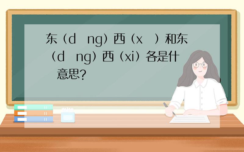 东（dōng）西（xī）和东（dōng）西（xi）各是什麼意思?