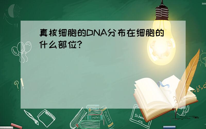 真核细胞的DNA分布在细胞的什么部位?