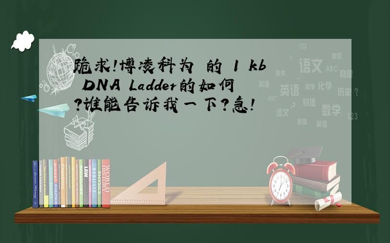 跪求!博凌科为 的 1 kb DNA Ladder的如何?谁能告诉我一下?急!